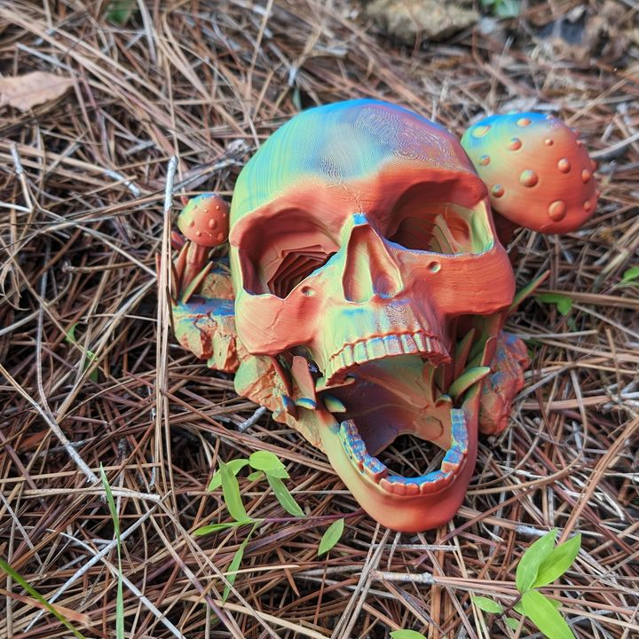 Lichlord’s Maw, Turn pentru Zaruri Necrotic