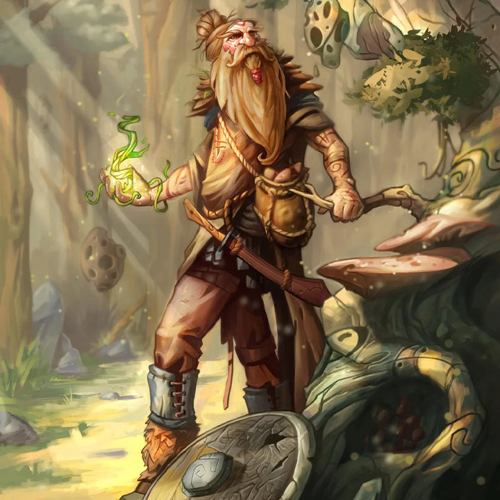 Human Druid - Character Sheets