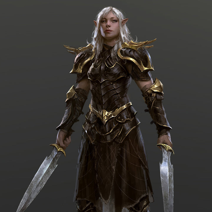 High Elf Fighter - Character Sheets