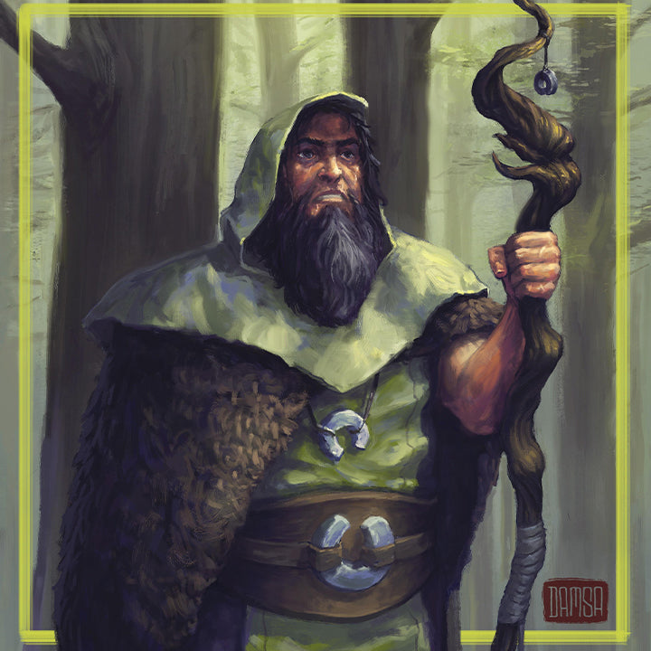 Human Druid - Character Sheets