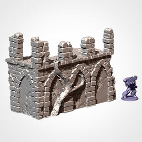 Abandoned Ruins Pack, Table-Top Fantasy Terrain