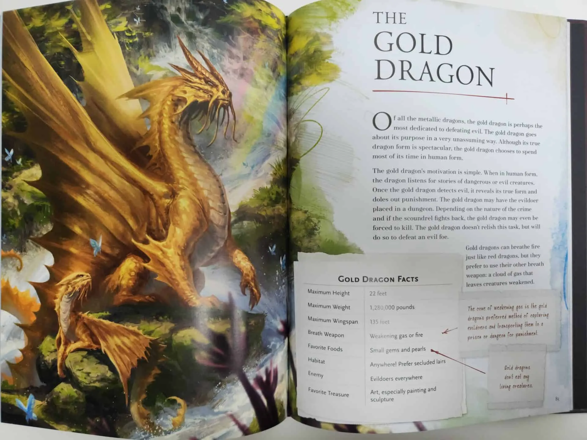 The Practically Complete Guide To Dragons, D&D Book