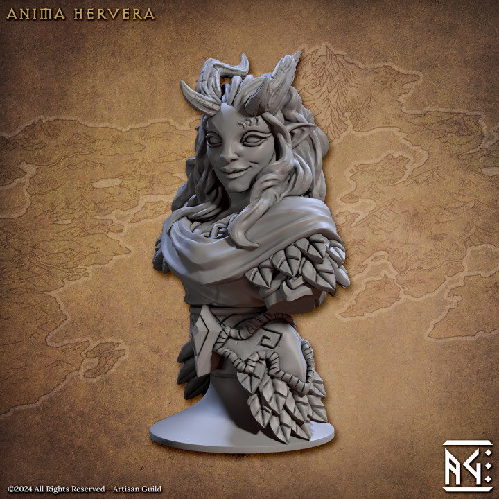 Anima Hervera, Bust