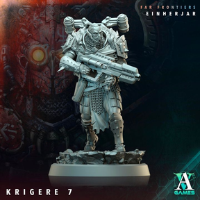 Krigere, Einherjar Soldiers Big Pack