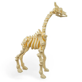 Skeleton Flexible Giraffe