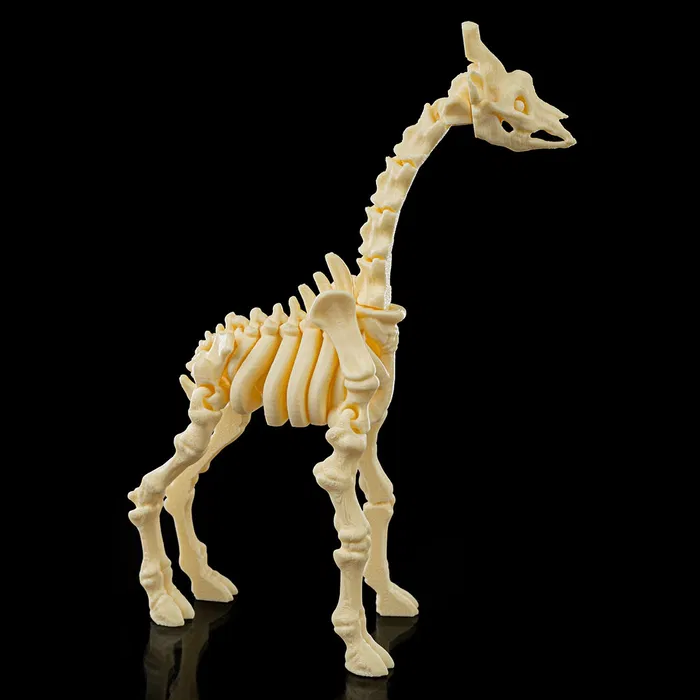 Skeleton Flexible Giraffe