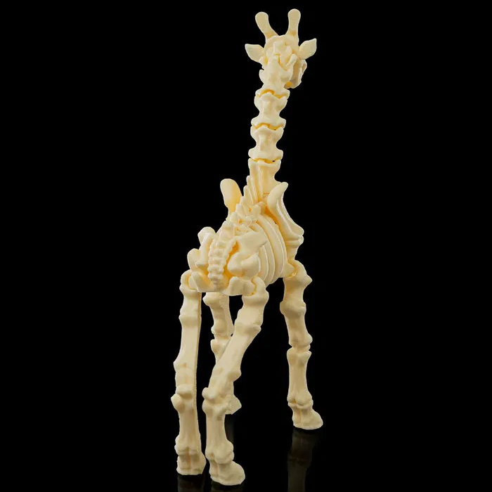 Skeleton Flexible Giraffe