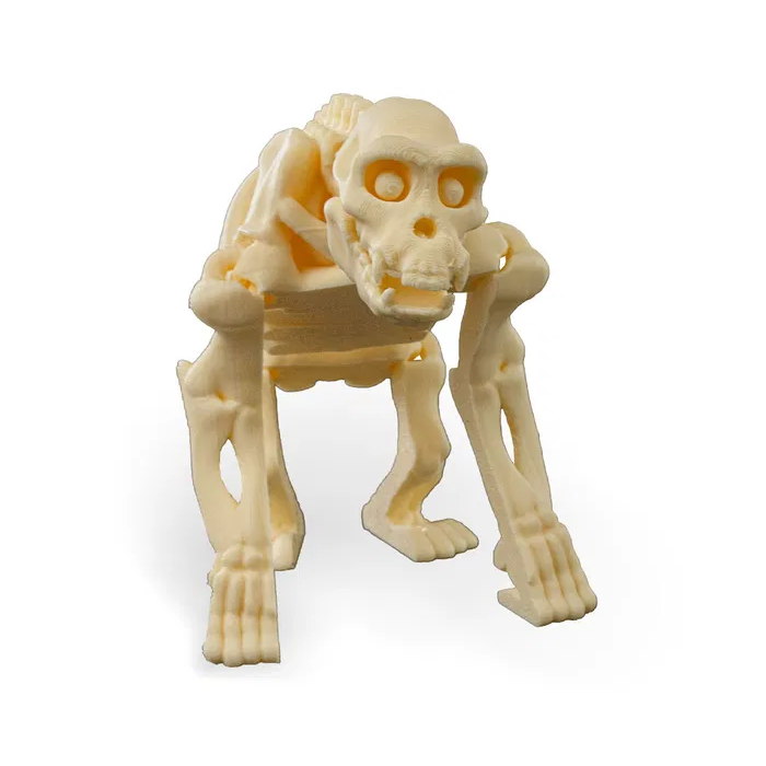 Skeletal Flexible Chimp