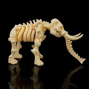 Skeletal Flexible Elephant