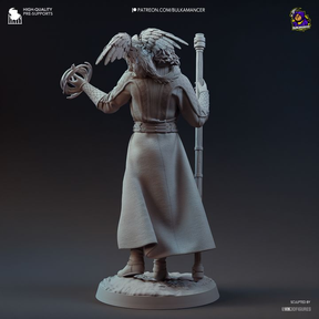 Gale, Baldur's Gate 3