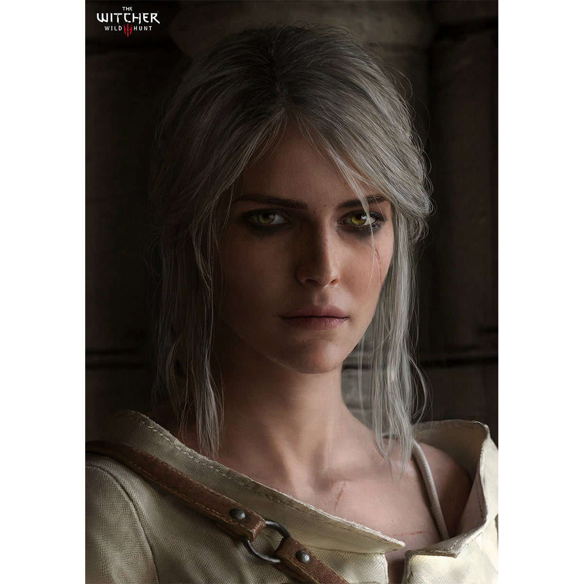 Lady of Worlds, The Witcher 3: Wild Hunt, Poster